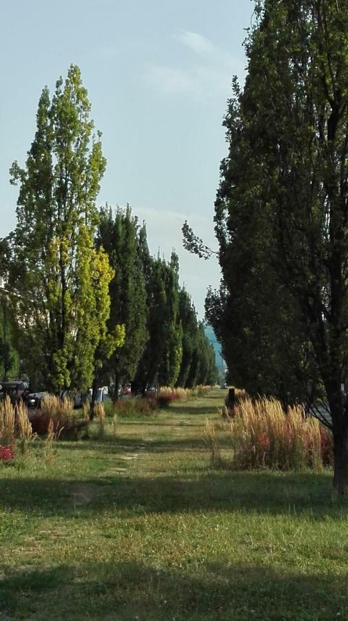 Studio Krakowski Styl Bagian luar foto